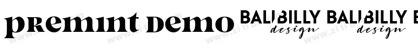 premint Demo字体转换